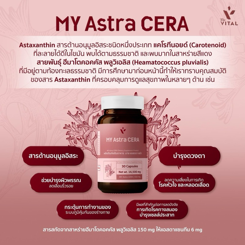 My Astra CERA จากThe Vital ช่วยดูแลผิวคุณ - รูปที่ 2