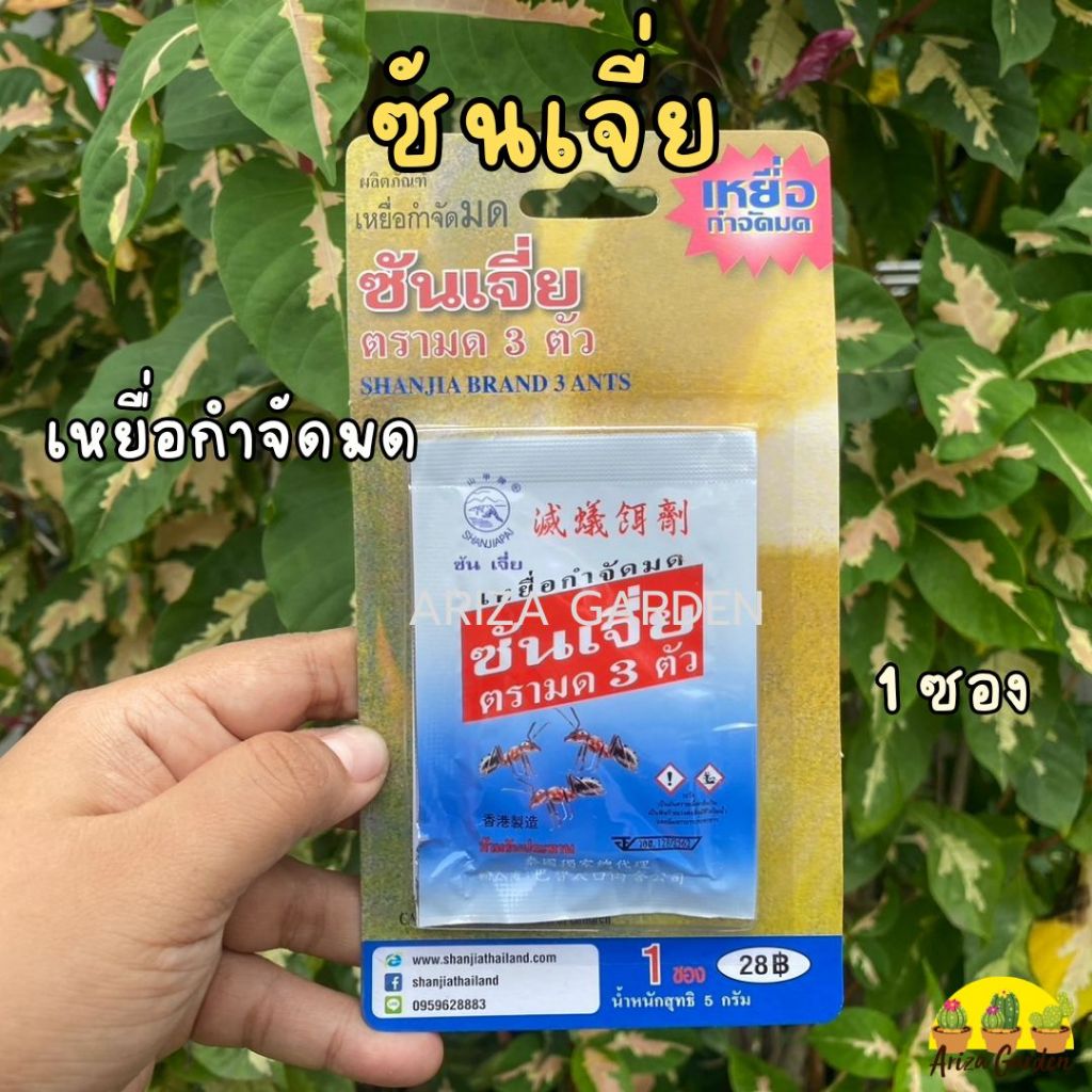 ซันเจีย เหยื่อกำจัดมด (บรรจุ 1 ซอง)