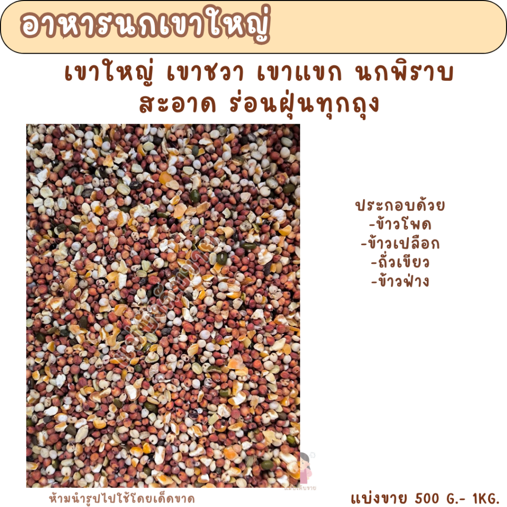 อาหารนกเขาใหญ่ เขาชวา เขาแขก นกพิราบ (แบ่งขาย 500 G-1 KG.)