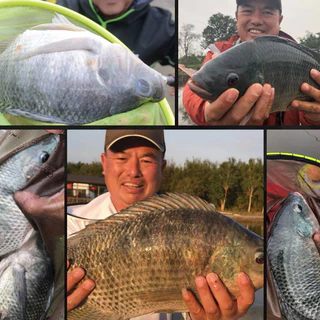 เหยื่อตกปลานิล เลากุย (Old ghost) สูตร1 (กุ้ง) 110g งานปลานิล ปลาเกล็ดทุกชนิด