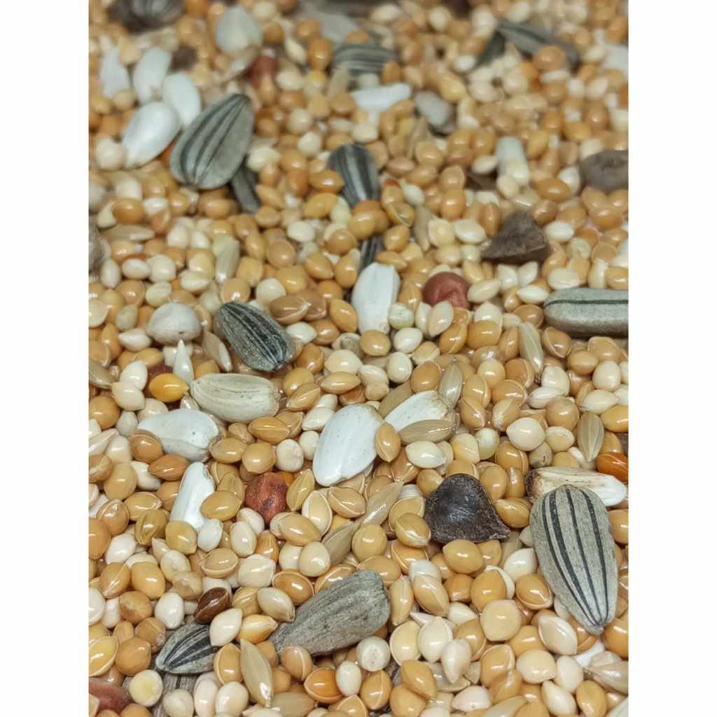 เหมือนกัน แต่ถูกกว่า 13 อย่าง(ในประเทศ) เกรดC อาหารนก เมล็ดธัญพืชนก พาราคีท 1 ก.ก.(1000 กรัม) เพียง 