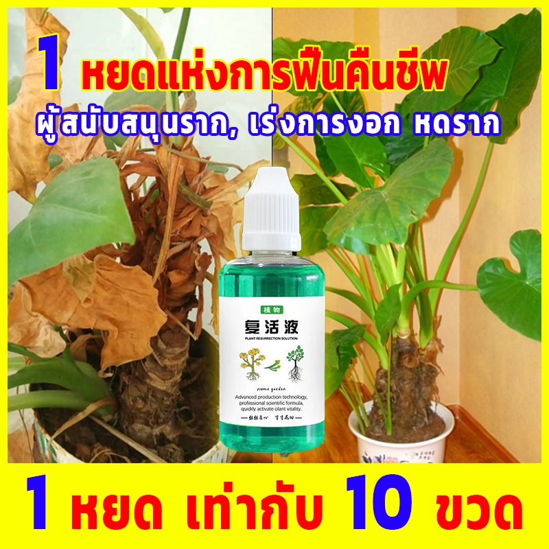 สูตรเข้มข้น เร่งโต 5 น้ำยาเร่งราก ปุ๋ยน้ำ เร่งราก เร่งใบ น้ำยาเร่งราก สารเร่งราก สูตรรวมเร่งราก แก้ใบเห ฟื้นฟูต้นไม้