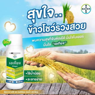 เอเทียจ ขนาด500มล. นาติโว สูตรน้ำ(ทีบูโคนาโซล+ไตรฟลอกซีสโตรบ…