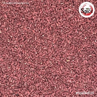 อั่งคัก เบอร์ 0 ข้าวแดง (Red Fermented Rice) 红曲 ขนาด 1 กิโลกรัม