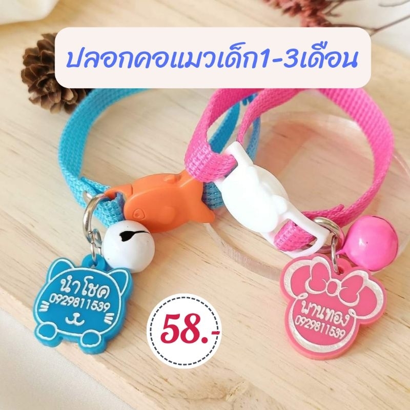 ปลอกคอพร้อมป้ายชื่อ สำหรับแมวเด็ก 1-3 เดือน 58 บ.ปลอกคอนิรภัย ปลอกคอแมวเด็ก.