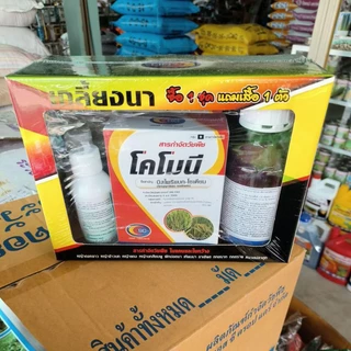 ยาฆ่าหญ้าในนาข้าว10-15วัน(เกลี้ยงนา)