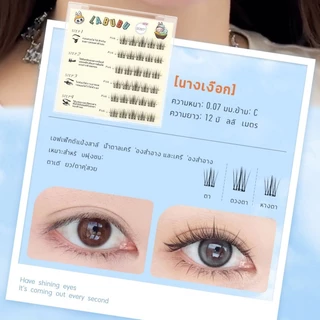 【จัดส่งจากประเทศไทย】ขนตาปลอม 3D แบบช่อ มีกาวในตัว แบบสามชิ้น ต่อขนตาธรรมชาติ ตาโต ติดทน เหมาะสำหรับมือใหม่ เทศกาลสาดน้ำ
