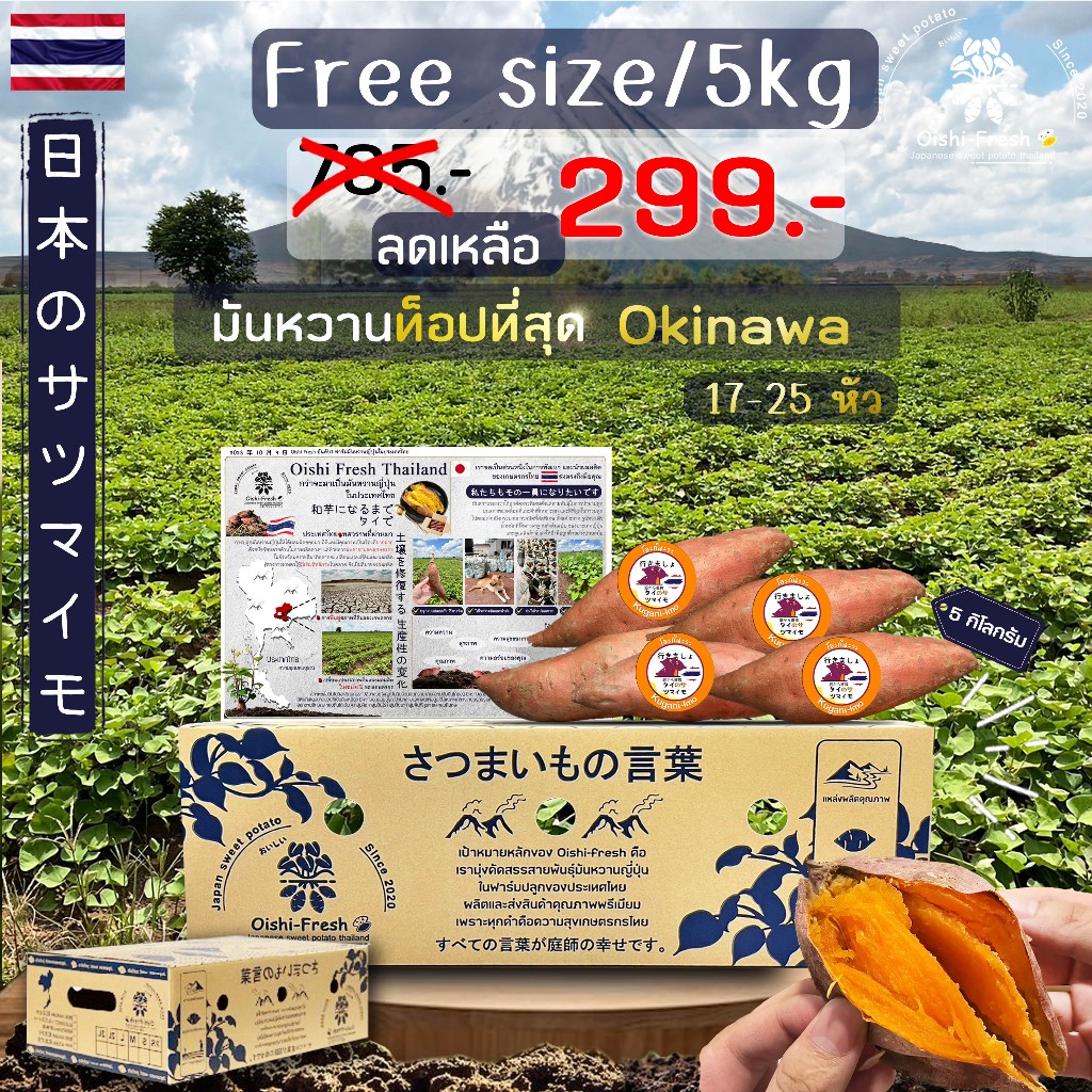 ถูกที่สุด ยกลัง5 กิโลกรัม มันหวานญี่ปุ่นสายพันธุ์ Okinawa ปลูกไทย เนื้อส้ม หอมหวาน อร่อย .สินค้าเคลมได้