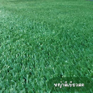 หญ้าเทียม เกรดAAA คุณภาพดี ทอแน่น หญ้า1ซม.(กว้าง2เมตร ยาวตัดตามสั่ง)หญ้าเทียมปูพื้นปูร้านค้า ร้านกาแฟจัดงานอีเว้นท์ต่างๆ