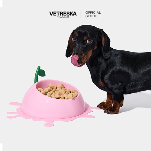 [สินค้าพร้อมส่ง] VETRESKA ชามอาหารสุนัข แมว Juicy Peach Pet Bowl Spoon & Mat Set [VPPECH0003]