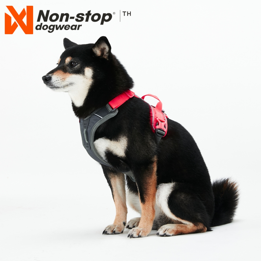 Non-stop dogwear Ramble Harness สายรัดอกสุนัข