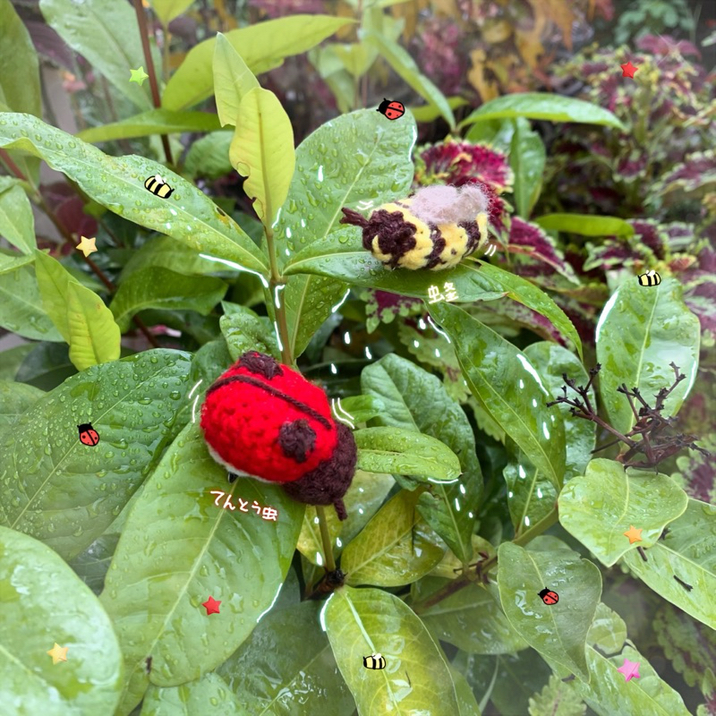 แมลงสัตว์กัดเกาะ🐞🐝⭐️ | เข็มกลัด พิน pins ลายแมลงเต่าทอง ผึ้ง ติดกระเป๋าเพิ่มความน่ารัก💞