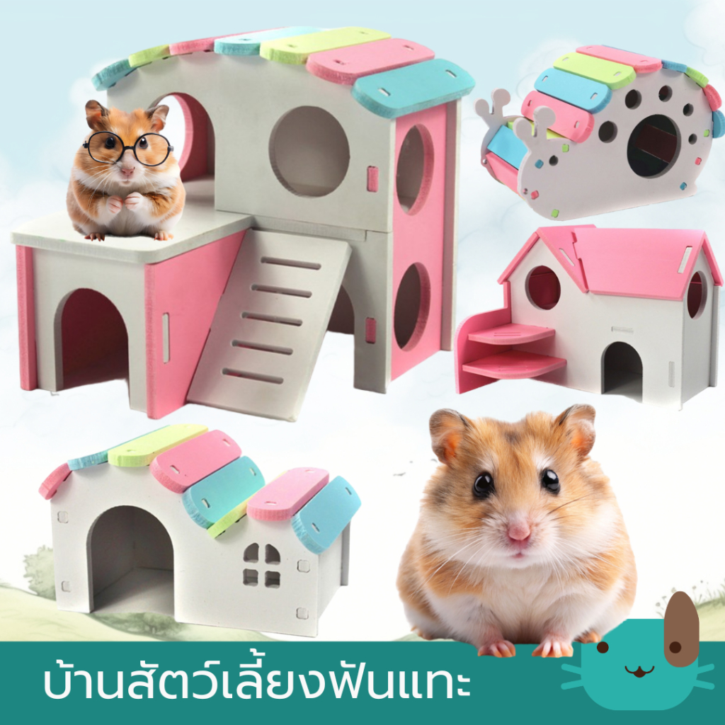 บ้านแฮมเตอร์ หนู สัตว์เลี้ยงฟันแทะ ของเล่นแฮมเตอร์ Hamster House