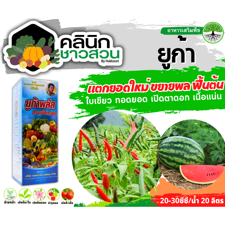 🥬 ยูก้า-พลัส (ธาตุอาหารรอง) บรรจุ 1ลิตร แตกยอดใหม่ ขยายผล ฟื้นต้น