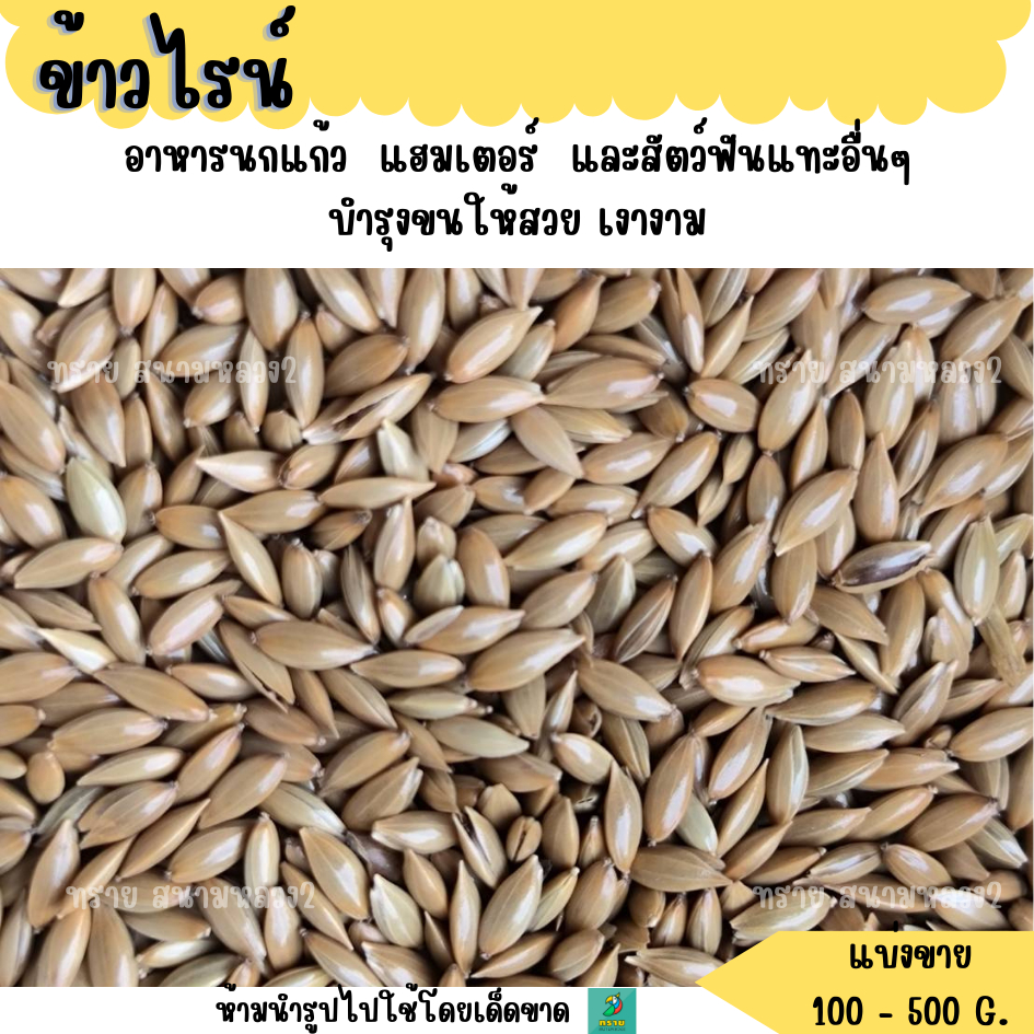 (แบ่งขาย 1 KG.) ข้าวไรน์ อาหารนกแก้ว  แฮมเตอร์  และสัตว์ฟันแทะอื่นๆ