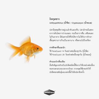 Seachem ParaGuard™ กำจัดปรสิตภายนอก เชื้อรา เชื้อแบคทีเรีย และเชื้อไวรัส ปลอดภัยกว่าการใช้ฟอร์มาดีไฮด์