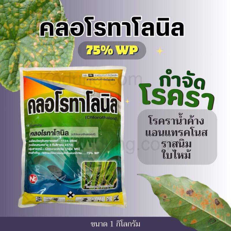 คลอโรทาโลนิล 75 % #ดาโคนิล สารป้องกันและกำจัดโรคพืช เชื้อรา โรคใบจุด โรคราน้ำค้าง โรคแอนแทรคโนส ( 1 กิโลกรัม )