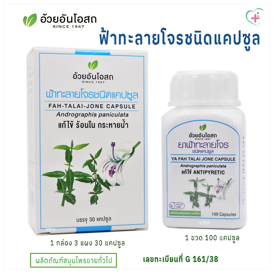อ้วยอันโอสถ ฟ้าทะลายโจร ชนิดแคปซูล Andrographis paniculata  แก้ไข้ ผลิตภัณฑ์สมุนไพรขายทั่วไป เลขทะเบียนที่ G161/38