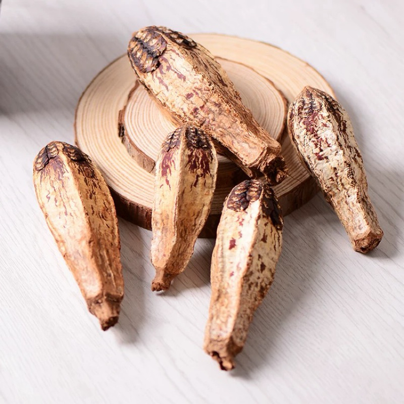 [ลูกมะฮอกกานี] เสริมสร้างวิตามิน วัสดุธรรมชาติ ของเล่นนก ของเล่นขัดฟันนกแก้ว