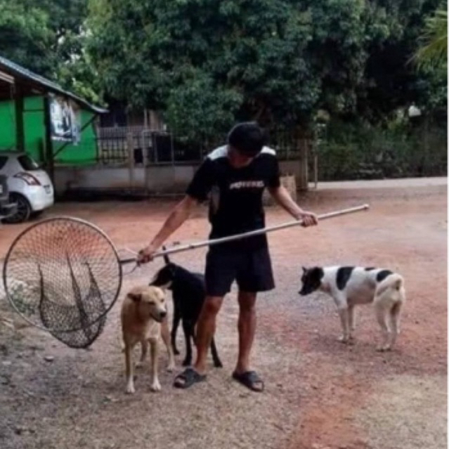 สวิงจับสุนัข จับสัตว์ต่างๆ