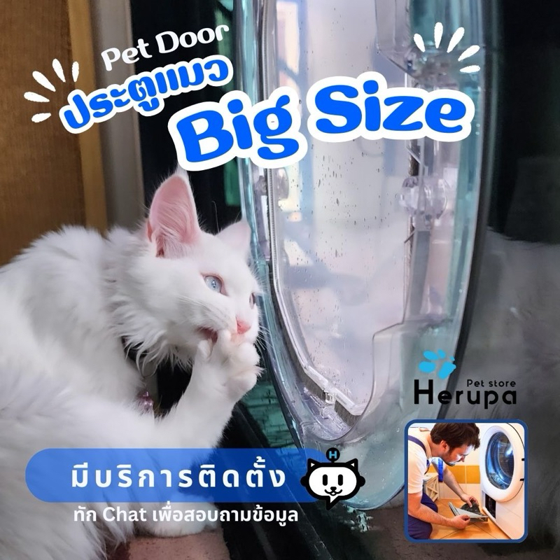 Big Size ประตูสุนัข ประตูแมว สำหรับติดกระจก ติดเลื่อนได้ สำหรับน้องหมาไซส์กลาง แมวเมนคูน (ร้านคนไทย)