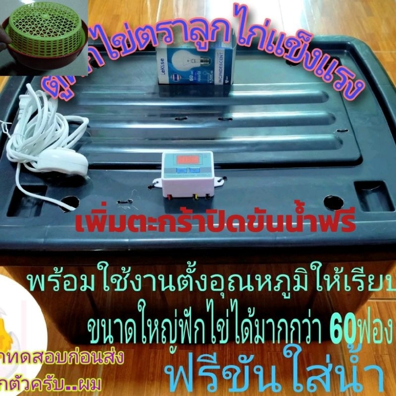 ตู้ฟักไข่ขนาด 60 ฟอง ไซส์ XL 61.5*40.5*33cm