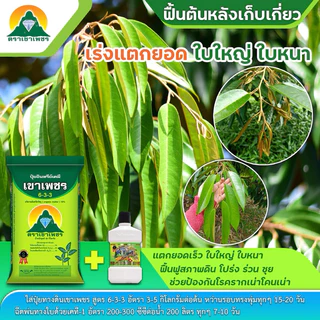 6-3-3เขาเพชร (แบ่งขาย10โล)
