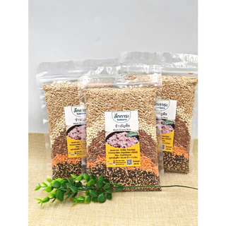 ข้าวธัญพืช พร้อมหุง บรรจุ 280 กรัม Multi Grains Rice 280g มีธัญพืช 5 ชนิด