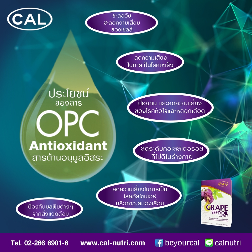 เคล Grape Seed Oil น้ำมันเมล็ดองุ่นสกัดเย็น ผลิตภัณฑ์เสริมอาหาร ชุดสุดคุ้ม - รูปที่ 4