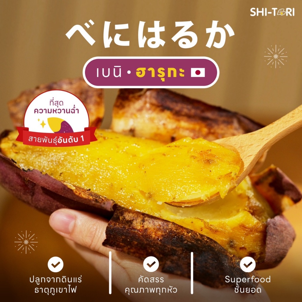 ShiTori | มันหวานญี่ปุ่น เบนิฮารุกะ ครบไซส์  / 1kg. / 2kg. /3kg. กลิ่นหอม รสชาติหวาน เนื้อฉ่ำ