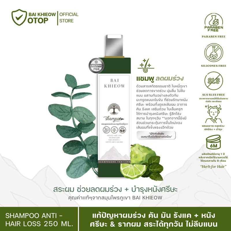BAI KHIEOW | เเชมพูสมุนไพรมะกรูดใบหมี่ภูเขา ( 250 ML. X1 ขวด ) สำหรับผมร่วง ผมบาง อ่อนโยน ไม่แห้งแข็ง