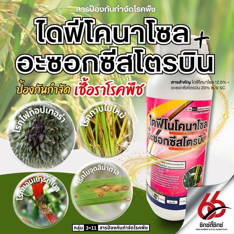 ไดฟิโนโคนาโซล+อะซ๊อกซี่สโตรบิน ขนาด 500 ซีซี สารป้องกันกำจัดโรคเชื้อราในพืช เมล็ดด่าง เน่าคอรวง