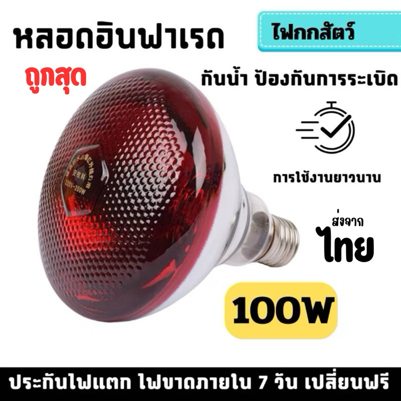 100W ไฟกกสัตว์ ไฟอินฟาเรด ขนาด 100W หลอดไฟให้ความอบอุ่นสัตว์ ไฟแดงกกสัตว์ หลอดไฟให้ความร้อน