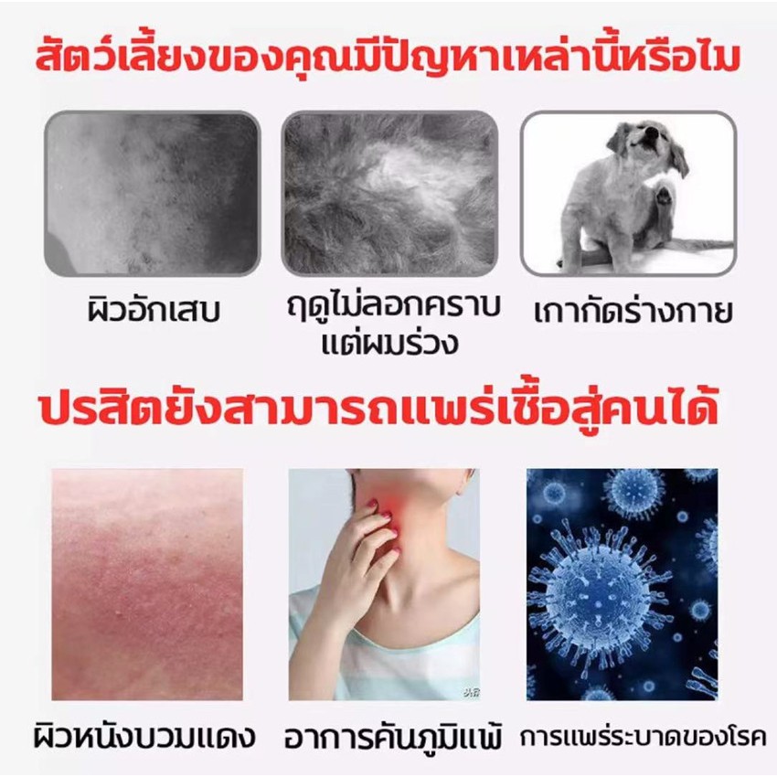 กำจัด เหา ไร เห็บ หมัด ฉีดเดียวก็ตาย สเปรย์กำจัดเห็บหมัด500ml สูตรพืช สัตว์เลี้ยงเลียได้ ยาฆ่าเห็บหมัด ได้ผล1000%