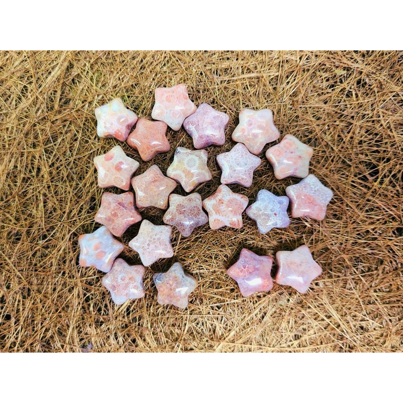 ชาร์มตัวแต่งสร้อย หินฟอสซิลปะการังแกะลายดางห้าแฉก (Coral fossil jasper)