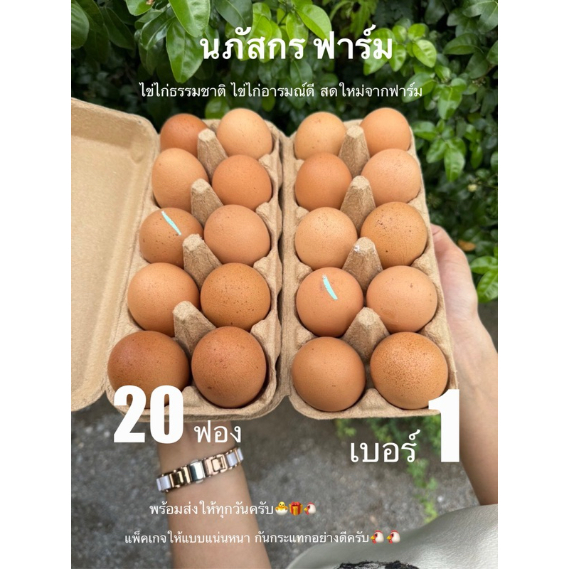 ไข่จ้าไข่ไก่ เบอร์1 (20ฟอง) เก็บจากฟาร์ม สดใหม่