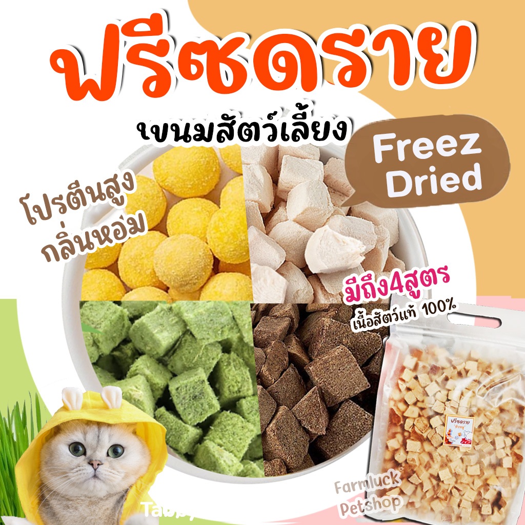 ขนมฟรีซดราย ทำจากเนื้อไก่100% น่ากินสูง ขนมแมวฟรีซดราย เกรดอาหารคน ดีต่อสุขภาพ บำรุงขน ไม่เค็ม อกไก่
