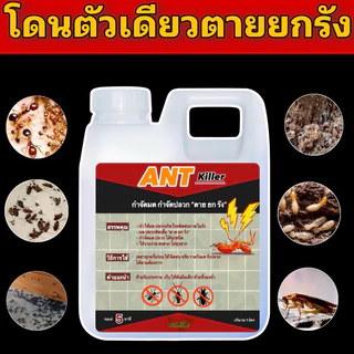 น้ำยากำจัด ปลวก มด แมลงสาบ 1 ลิตร