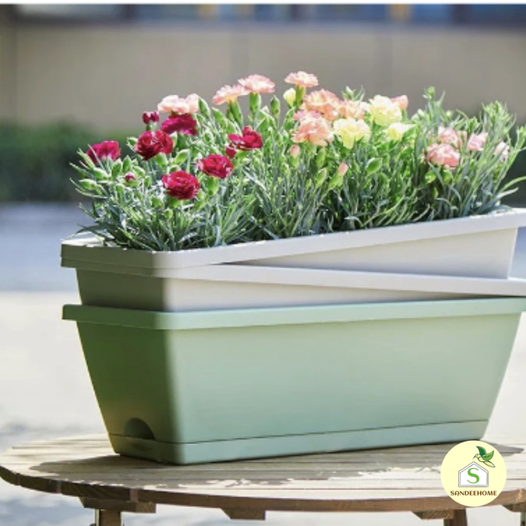 กระถางปลูกผักปลูกต้นไม้ ทรงยาวมีถาดรอง สี่เหลี่ยม ดอกไม้  กระบะปลูกผัก พร้อมส่ง - รูปที่ 2