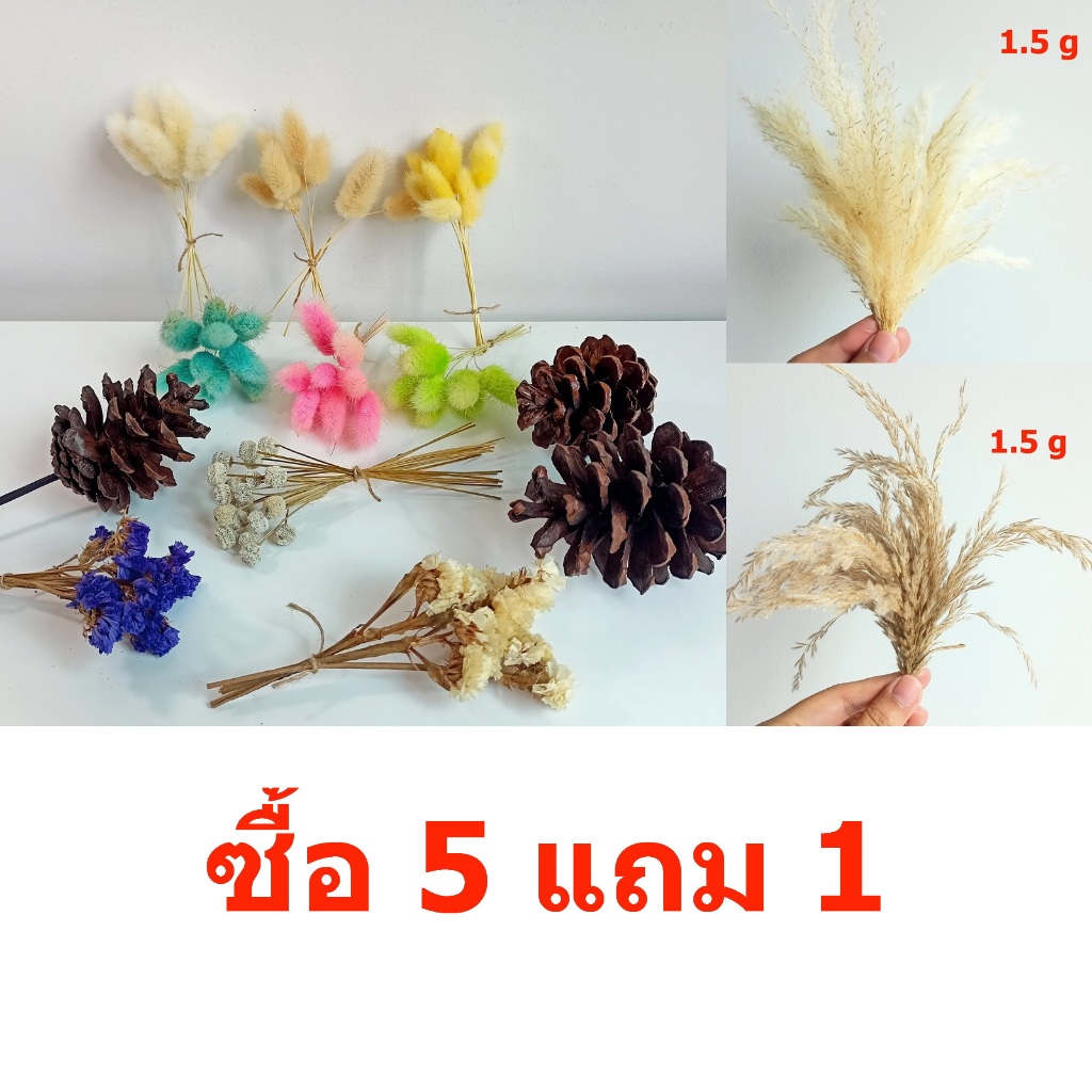 ดอกไม้แห้ง 17 cm. ดอกไม้จิ๋ว ช่อเล็ก ดอกไม้จริง ดอกไม้แห้งเล็กๆ เก็บได้นาน ช่อจิ๋ว