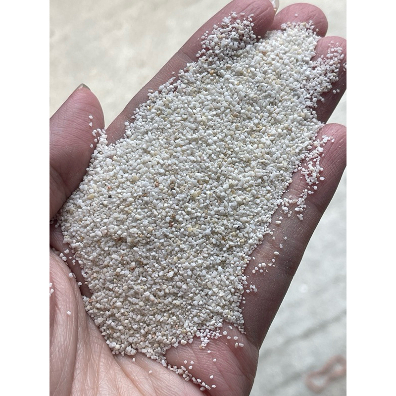 ทรายขาวแท้เกรดCaribsea 1 กิโล สำหรับปูพื้นตู้ปลาทะเล ปลาน้ำจืด ตู้ไม้น้ำ