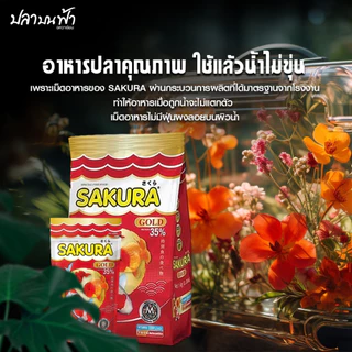 อาหารปลาซากุระโกลด์ Sakura gold ของแท้ สำหรับปลาทุกประเภท เม็ดลอย น้ำไม่ขุ่น โปรตีนสูง เร่งสี เร่งโต