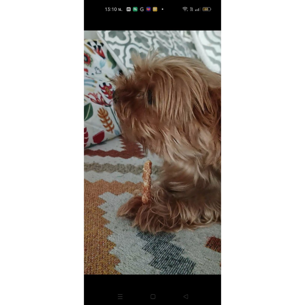 PRO CHEW JUMBO Crispy Chicken Stick 75 g โปวชิว จัมโบ้ป๊อกกี้ไก่(จัมโบ้ไก่แท่งกรอบ) ขนาด M 75 กรัม ขนมหมา ขนมสุนัข - รูปที่ 4