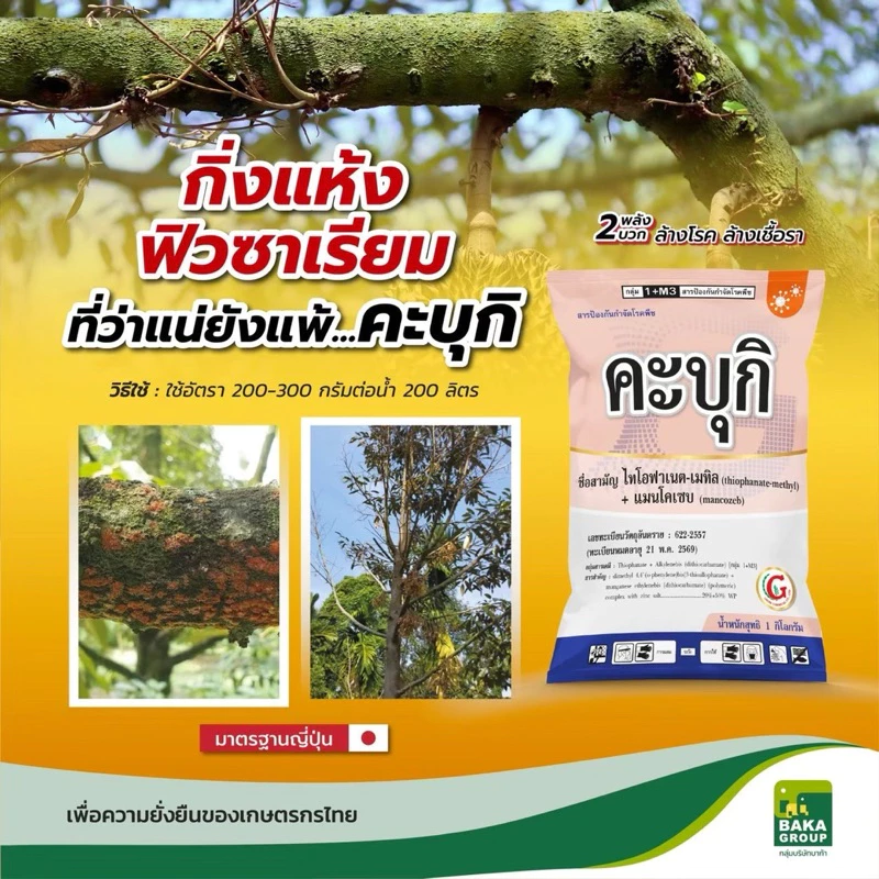 ยาเชื้อรา ไฟท็อป ฟิวซาเรียม คะบุกิ(ไทโอฟาเนต+แมนโคแซบ)