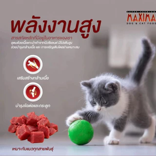 Set สุดคุ้ม Maxima อาหารแมว แม็กซิมา บรรจุ 5 กก. สูตรบำรุงขน ผิวหนัง และป้องกันการเกิดโรคนิ่ว