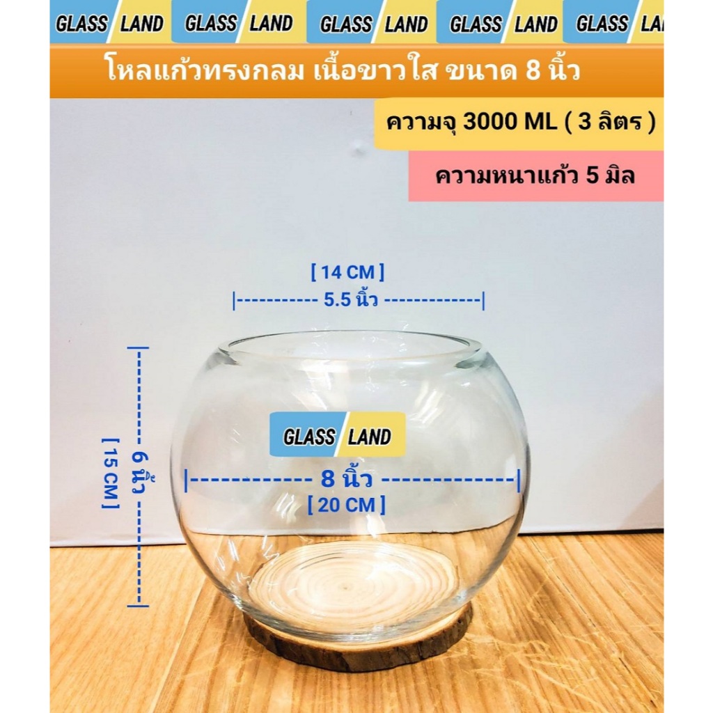 โหลแก้วทรงกลมเนื้อขาวใส ใส่เลี้ยงปลา จัดสวนแก้ว ปลูกต้นไม้ [พร้อมส่ง]ขนาด 8 นิ้ว ขอบปากแก้วหนา 5มิล ความจุ 3000 ML โห