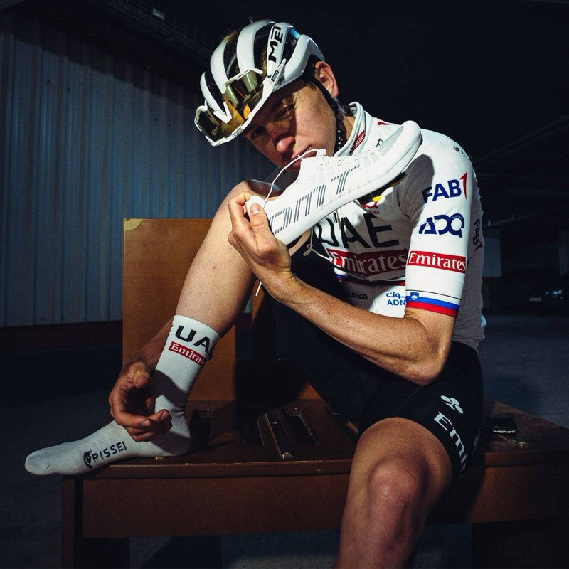 All New DMT POGI'S (2024)