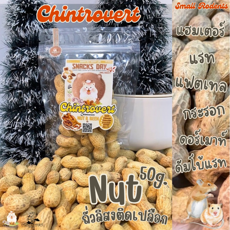 Chintrovert ✨| Nut ถั่วลิสงพร้อมเปลือก | แฮมเตอร์ กระรอก แฟตเทล ดอร์เมาท์ หนูดัมโบ้ แรท