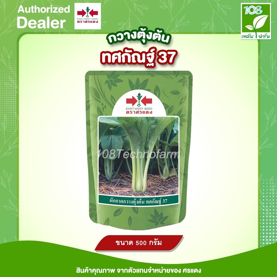 เมล็ดพันธุ์ กวางตุ้ง ทศกัณฐ์ 37 ตราศรแดง ขนาด 500 กรัม รูปที่ 2