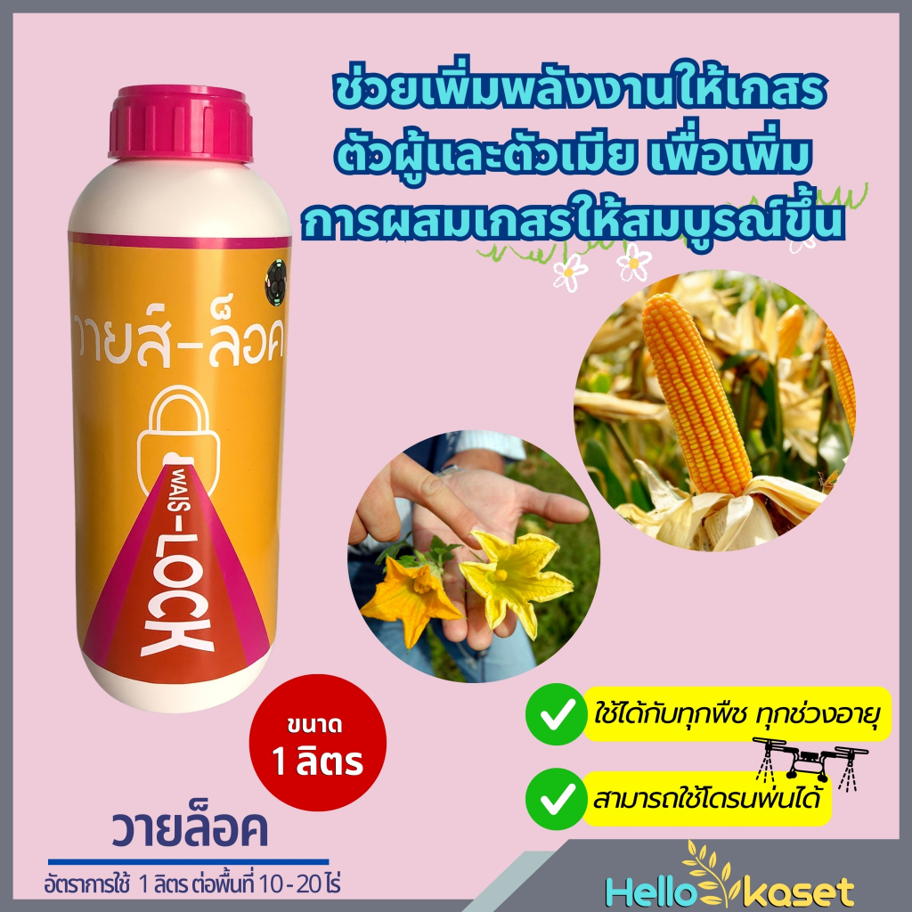 วายล็อค ขนาด 1 ลิตร ผสมเกษร ขยายขนาดผล เนื้อแน่น น้ำหนักดี ให้เกสรตัวผู้และตัวเมียผสมเกสร